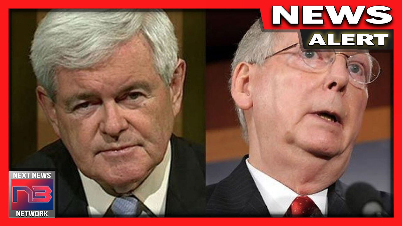 Newt Gingrich DEMANDS Americans Receive the Money they Deserve from relief Package