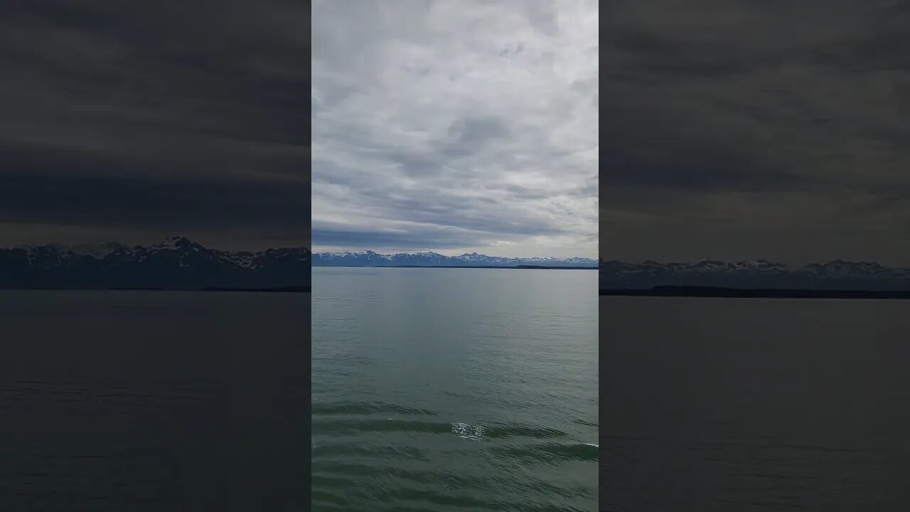 Queen Elizabeth Approaching Hubbard Glacier!