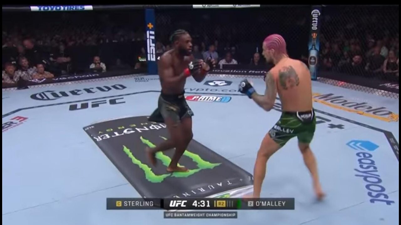 Sean O’Malley KOs Aljamain Sterling at UFC 292