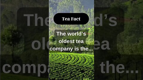 Do you concur with what has been said? Put your thoughts in the comment section.👉#short #tea