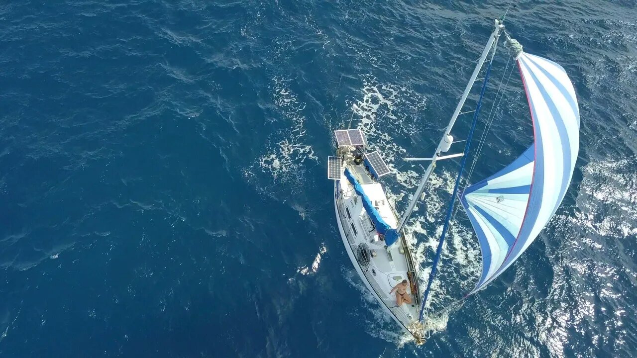 What's wrong with this picture? - Free Range Sailing Ep 109