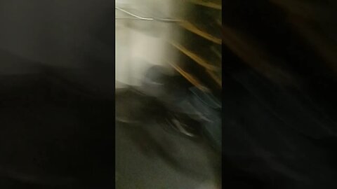 Home Gym equipment