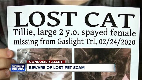 Beware of lost pet scam