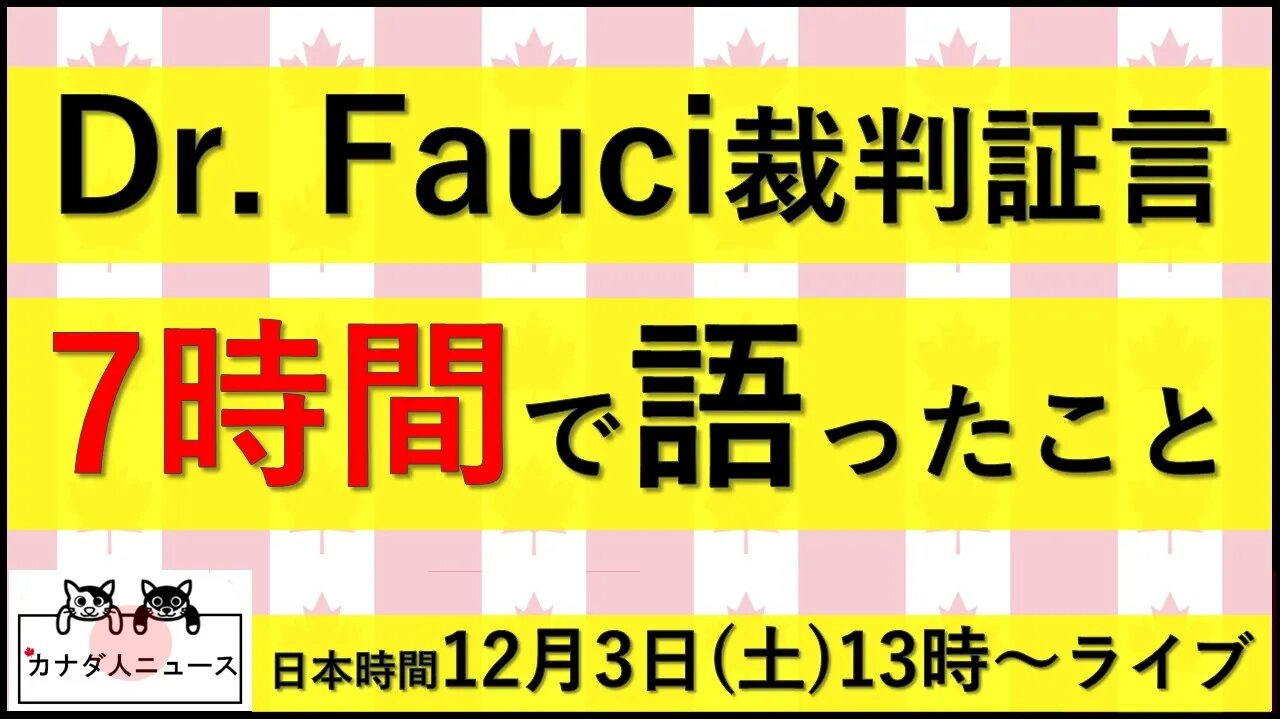 11.25 Dr.私は7時間で何を話したのか