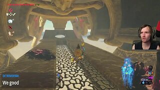 Zelda: Breath of the Wild