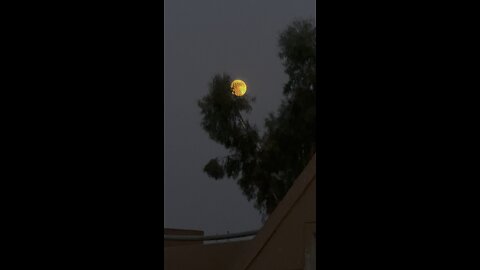 Full moon peaceful night