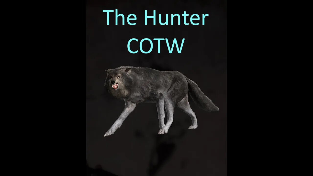 The Hunter Call of the Wild E9