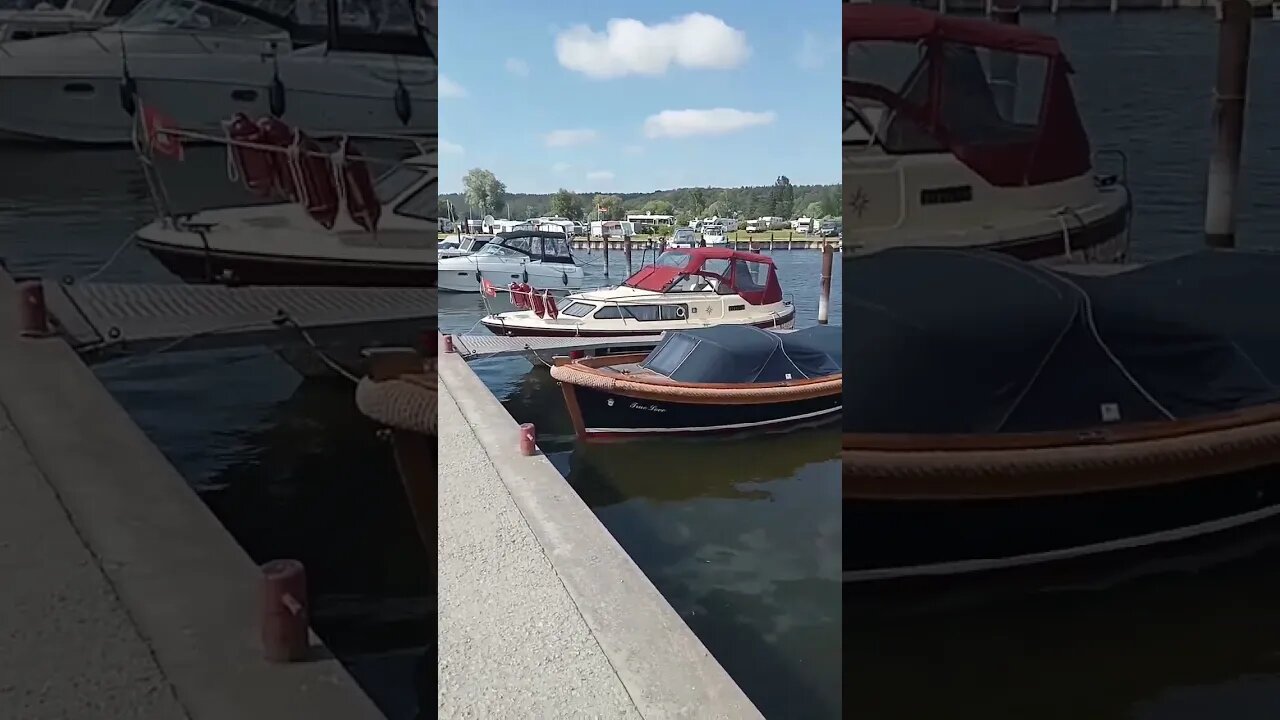 so schön an der Elbe in Artlenburg #shorts #elbe #lauenburg #artlenburg #fluß #river #yacht