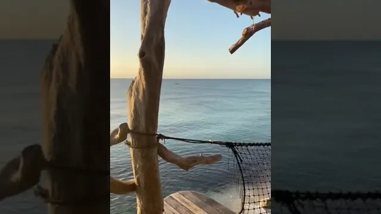 Travel Life Tiktok daniellenguild