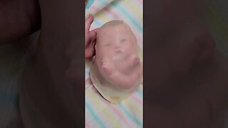 Womb Bag - How Babies are born