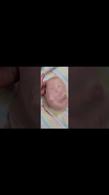 Womb Bag - How Babies are born