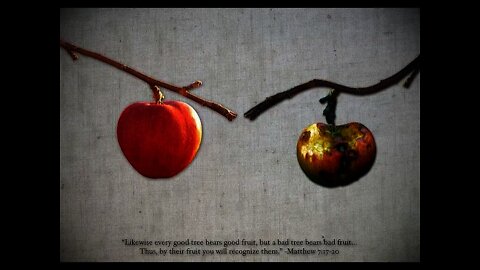 "You will know them by their fruits" - Trinity 8 - August 2, 2020