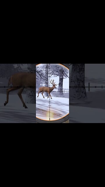 Hunting Coyotes #355 #elk #shorts #dog #animals #hunter #hunting #ytshorts #dog #coyotes #wildlife