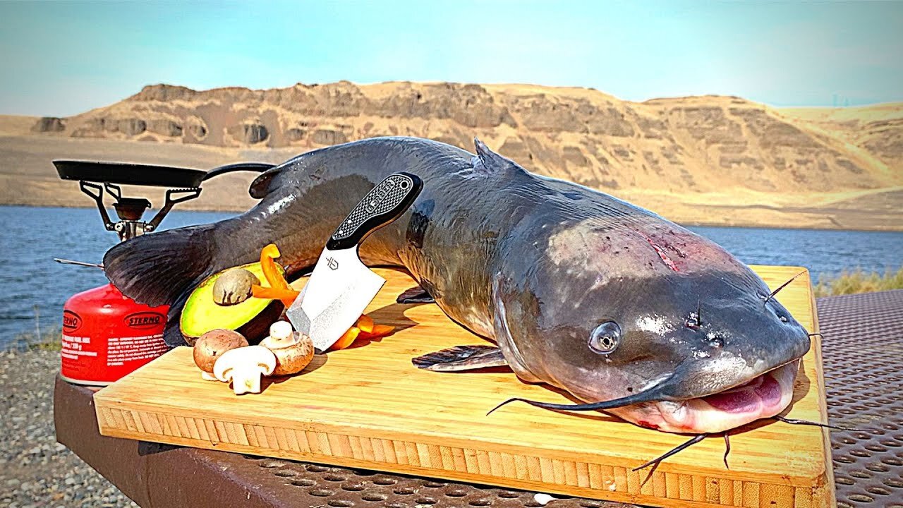 GIANT CATFISH Catch & Cook!!! Bass Fishing in DESERT CANYON!