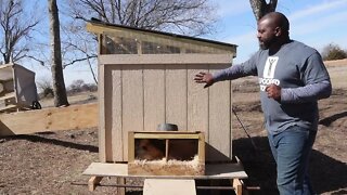 Have We Built The Ultimate Duck Coop?