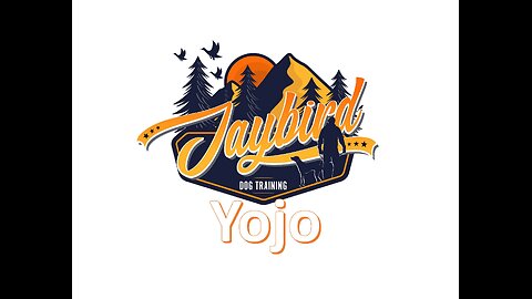 Yojo the young Master