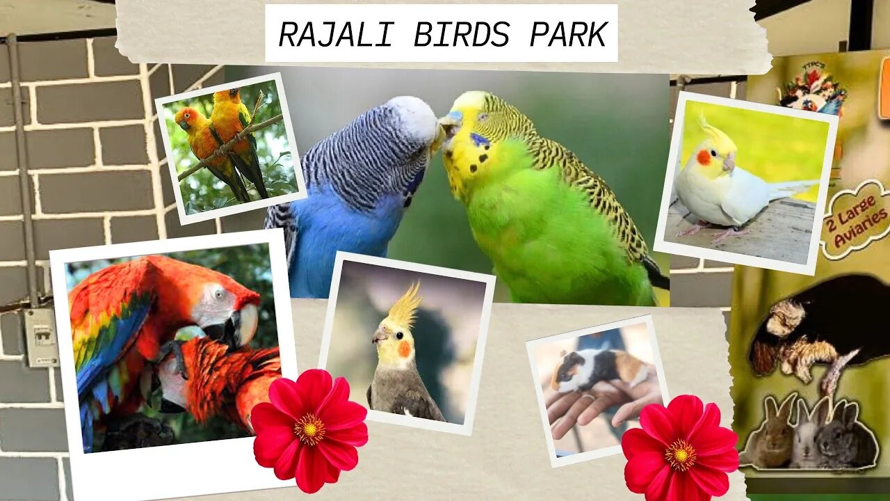 Rajali Birds Park Thanjavur | 20 different Country birds