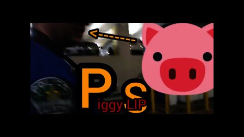 #Piggylipped BITCHES WALLOW in the MUD after SHITTING in it the NIGHT before: #thePEOPLEwinAGAIN