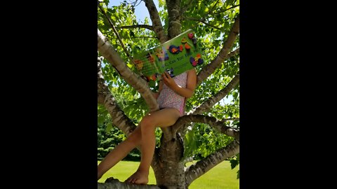 ABC, Can You Find Me? Alphabet Search Book Read Along
