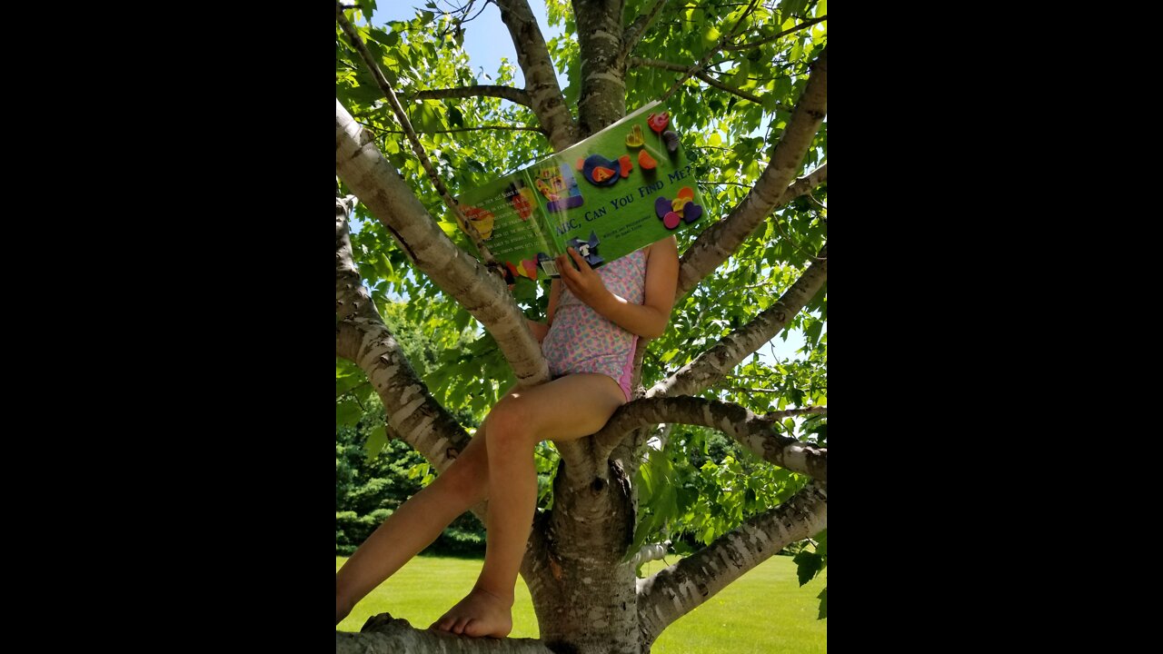 ABC, Can You Find Me? Alphabet Search Book Read Along