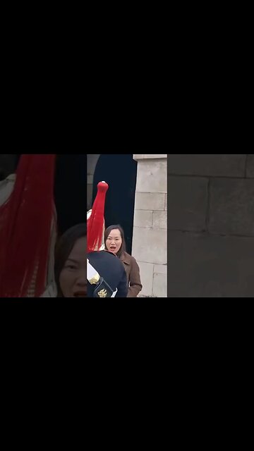 tourist face when guard walks past #horseguardsparade