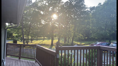 Chickens, Garden, Evening Frog & Bird sounds