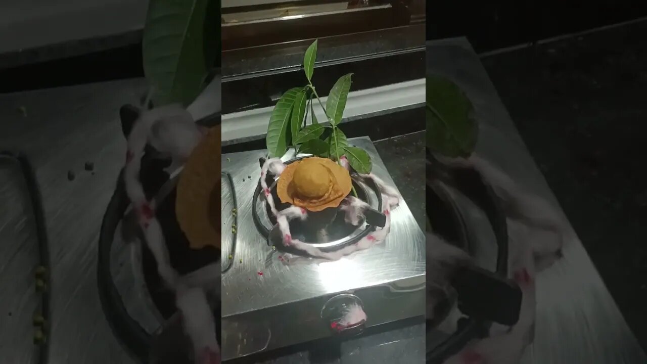 #sheetlamatabhajan #sheetla_mata_katha #sheetla #trending #vlog #dailyvideoblog #jayveeru #mala