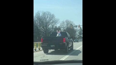 THE EASTER 🐣 BUNNY 🐰 RIDING DIRTY!!! #shorts #easter #lol