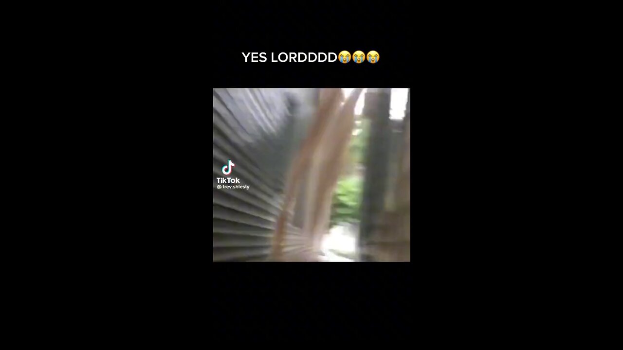 This is a cluster fuck Jesus