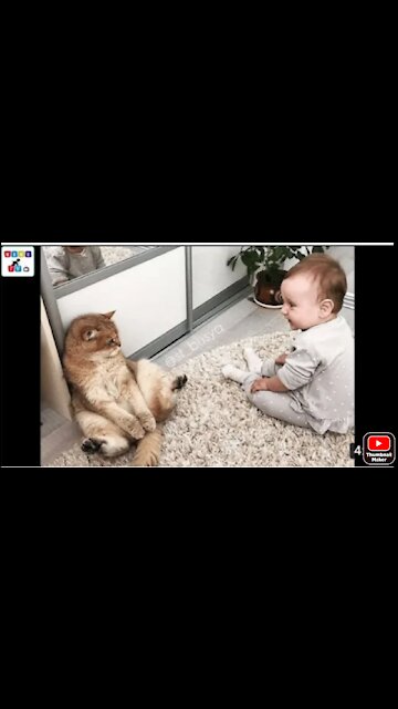 Baby playing with cat//what happened next??😱😱