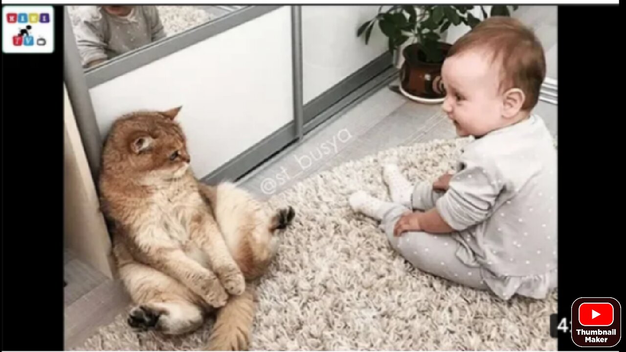 Baby playing with cat//what happened next??😱😱