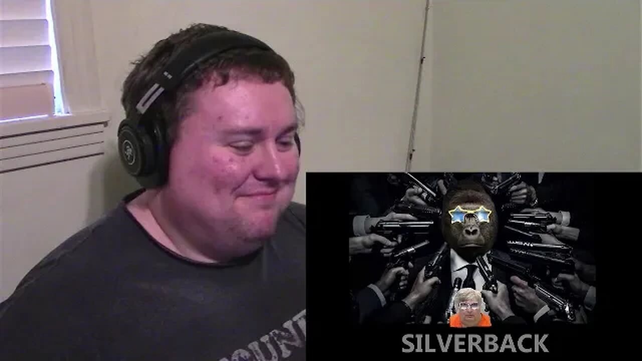 Silverback Gorilla poaches the competition Part 2 Reaction