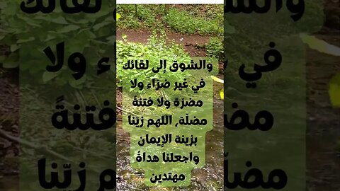 دعاء ليلة الجمعة - دعاء بليلة الجمعة، قوة الصلاة، التأمل، السكينة الداخلية، الراحة النفسية