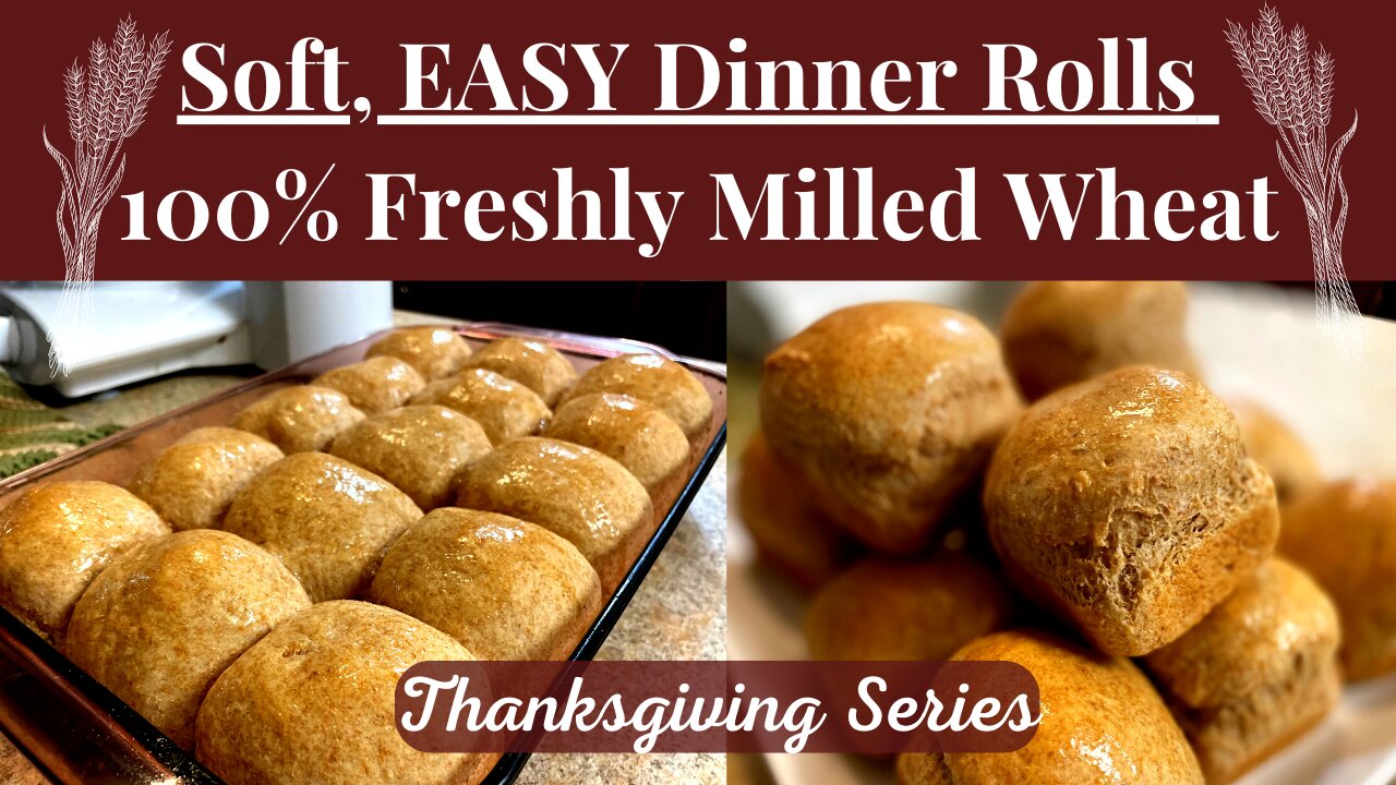 Soft, EASY Dinner Rolls w/100% Freshly Milled Wheat | Thanksgiving Recipes | Healthy Dinner Rolls