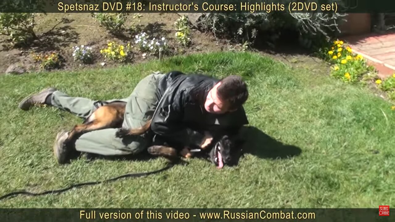 How to defend against a dog. Self defense against dog attack