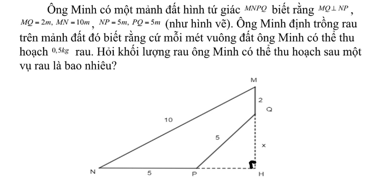 Toán 9: Ông Minh có một mảnh đất hình tứ giác MNPQ biết rằng MQ_|_NP, MQ = 2m, MN