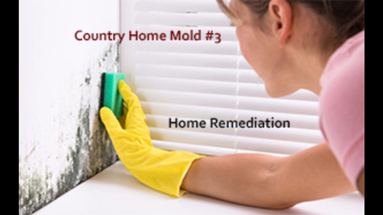 PFTTOT Part 197 Homestead Mold Remediation