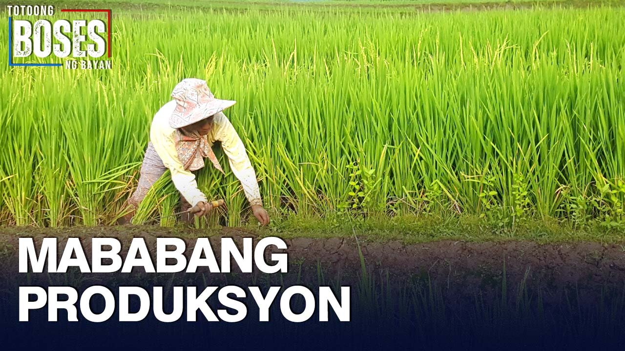 Pagtaas ng inflation, dahil sa mababang produksyon −Ekonomista