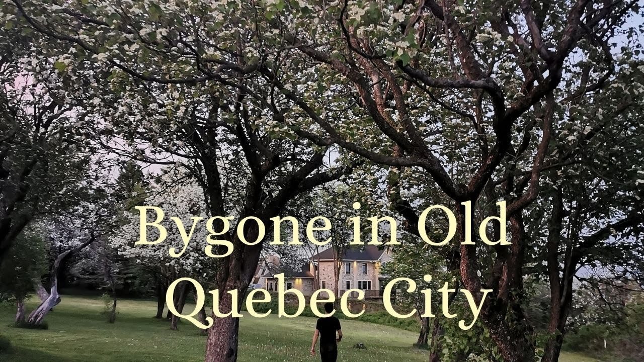 🍃 Qc City VLOG | Walkthrough Old Quebec city and DIY budget closet pt1🪭