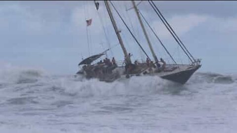 No Havai até os barcos sabem surfar!