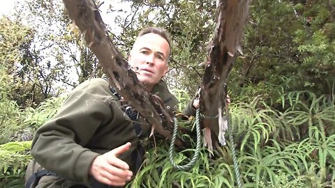 Rangi and the kiwi of Stewart Island