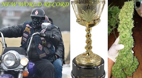 Previous Record up in Smoke!