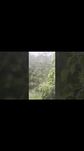 The Confidence Mindset: How to Believe in Yourself and Achieve Your Goals