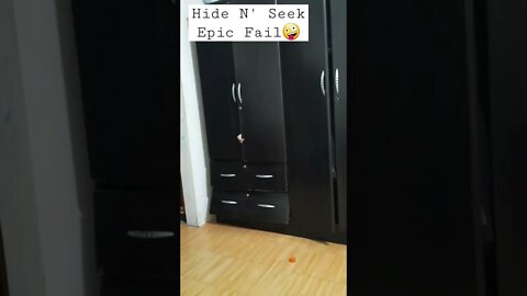 Hide N' Seek Fail