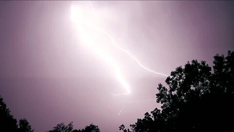Horses killed by lightning