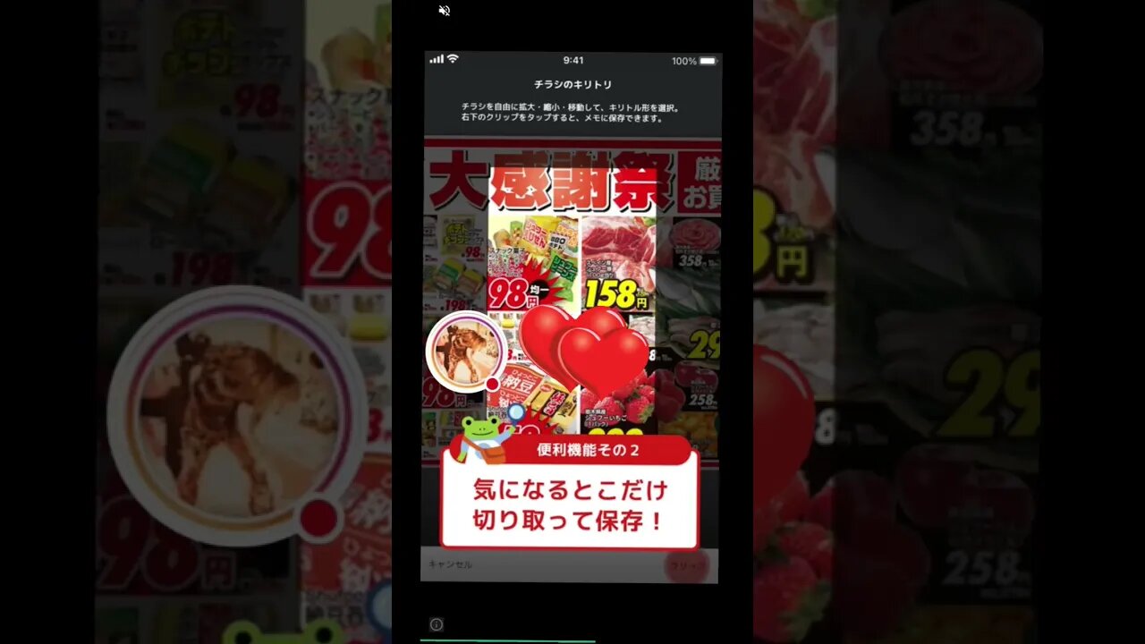 #etsukojunio #etsukofans #fransiscaofficial #teamfransisca #沉连清 #fransisca #fransiscametaworld