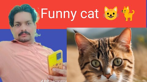 Cat 🐈😺 funny video