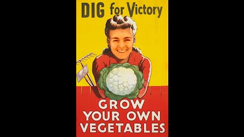 Bethany's Victory Garden: June 2021