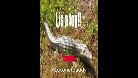 The Time a Plastic Toy Was Thought To be an Alligator