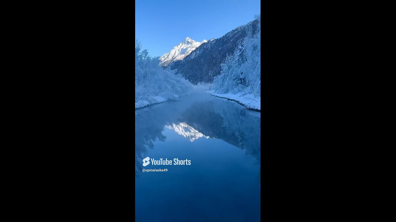 Is this entertaining? #trees #mountains #alaska #outdoors #nature #fyp #iphone #frozen #winter #cold